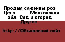 Продам саженцы роз › Цена ­ 300 - Московская обл. Сад и огород » Другое   